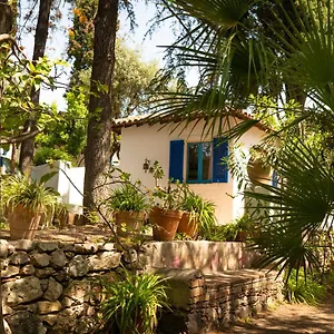 https://appartamenti-placido.sicilyhotelsitaly.net